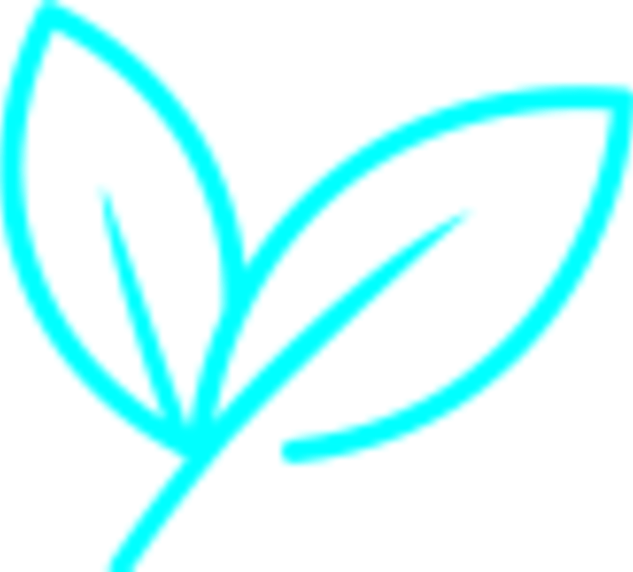 Logo Sostenibilidad e Innovación